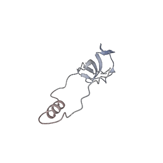10224_6skg_Bl_v1-1
Cryo-EM Structure of T. kodakarensis 70S ribosome in TkNat10 deleted strain