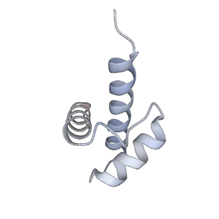 10224_6skg_Bm_v1-1
Cryo-EM Structure of T. kodakarensis 70S ribosome in TkNat10 deleted strain
