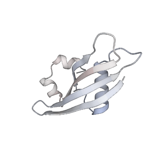 10224_6skg_Bn_v1-1
Cryo-EM Structure of T. kodakarensis 70S ribosome in TkNat10 deleted strain