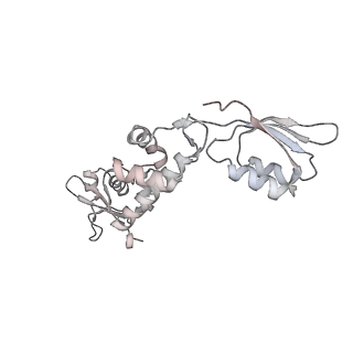 10224_6skg_Bp_v1-1
Cryo-EM Structure of T. kodakarensis 70S ribosome in TkNat10 deleted strain
