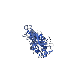 10225_6ski_F_v1-1
The Tle hydrolase bound to the TTR domain of the VgrG spike of the Type 6 secretion system