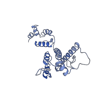 10226_6skk_B_v1-2
Structure of the native full-length HIV-1 capsid protein in helical assembly (-13,8)