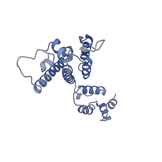 10226_6skk_E_v1-2
Structure of the native full-length HIV-1 capsid protein in helical assembly (-13,8)