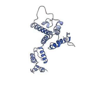 10226_6skk_F_v1-2
Structure of the native full-length HIV-1 capsid protein in helical assembly (-13,8)