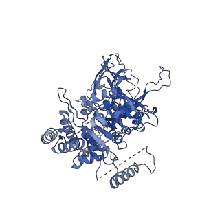 10227_6skl_3_v1-3
Cryo-EM structure of the CMG Fork Protection Complex at a replication fork - Conformation 1