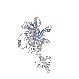 10227_6skl_4_v1-3
Cryo-EM structure of the CMG Fork Protection Complex at a replication fork - Conformation 1