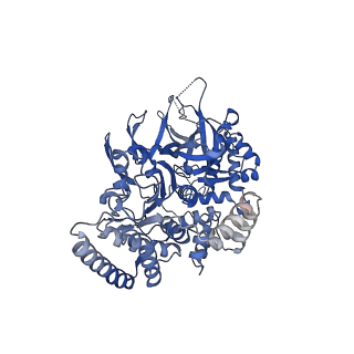 10227_6skl_5_v1-3
Cryo-EM structure of the CMG Fork Protection Complex at a replication fork - Conformation 1