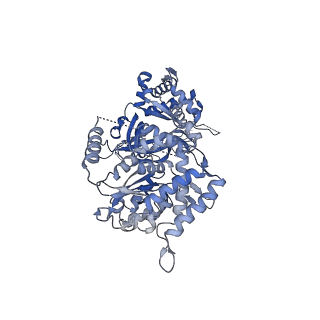 10227_6skl_6_v1-3
Cryo-EM structure of the CMG Fork Protection Complex at a replication fork - Conformation 1