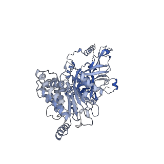 10227_6skl_7_v1-3
Cryo-EM structure of the CMG Fork Protection Complex at a replication fork - Conformation 1
