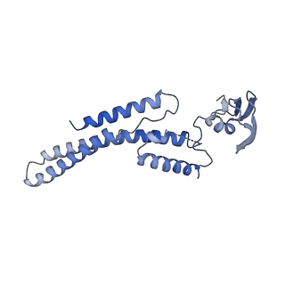 10227_6skl_A_v1-3
Cryo-EM structure of the CMG Fork Protection Complex at a replication fork - Conformation 1