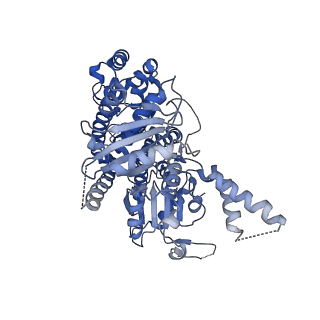 10227_6skl_E_v1-3
Cryo-EM structure of the CMG Fork Protection Complex at a replication fork - Conformation 1