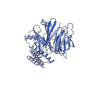 10227_6skl_F_v1-3
Cryo-EM structure of the CMG Fork Protection Complex at a replication fork - Conformation 1