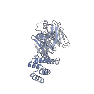 10227_6skl_H_v1-3
Cryo-EM structure of the CMG Fork Protection Complex at a replication fork - Conformation 1