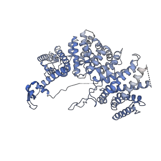 10227_6skl_X_v1-3
Cryo-EM structure of the CMG Fork Protection Complex at a replication fork - Conformation 1