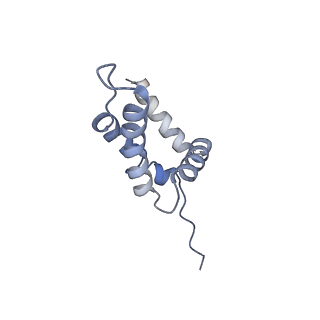 10227_6skl_Y_v1-3
Cryo-EM structure of the CMG Fork Protection Complex at a replication fork - Conformation 1