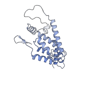 10229_6skn_A_v1-2
Structure of the native full-length HIV-1 capsid protein in helical assembly (-13,8)