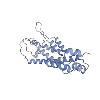 10229_6skn_D_v1-2
Structure of the native full-length HIV-1 capsid protein in helical assembly (-13,8)