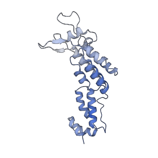 10229_6skn_F_v1-2
Structure of the native full-length HIV-1 capsid protein in helical assembly (-13,8)