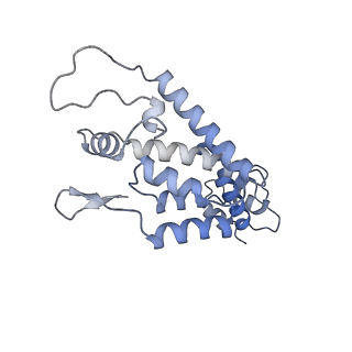 10229_6skn_H_v1-2
Structure of the native full-length HIV-1 capsid protein in helical assembly (-13,8)