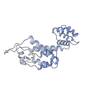 10229_6skn_I_v1-2
Structure of the native full-length HIV-1 capsid protein in helical assembly (-13,8)