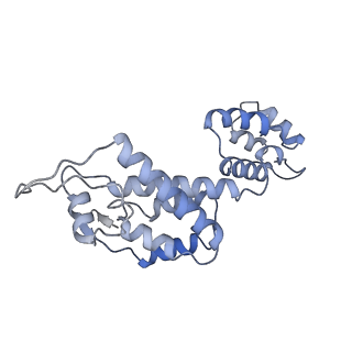 10229_6skn_J_v1-2
Structure of the native full-length HIV-1 capsid protein in helical assembly (-13,8)