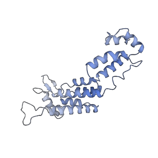 10229_6skn_K_v1-2
Structure of the native full-length HIV-1 capsid protein in helical assembly (-13,8)