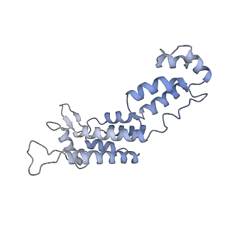 10229_6skn_L_v1-2
Structure of the native full-length HIV-1 capsid protein in helical assembly (-13,8)