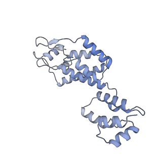 10229_6skn_P_v1-2
Structure of the native full-length HIV-1 capsid protein in helical assembly (-13,8)