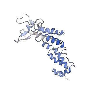 10229_6skn_Q_v1-2
Structure of the native full-length HIV-1 capsid protein in helical assembly (-13,8)