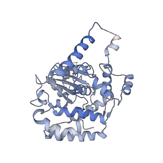 10230_6sko_2_v1-3
Cryo-EM Structure of the Fork Protection Complex Bound to CMG at a Replication Fork - conformation 2 MCM CTD:ssDNA