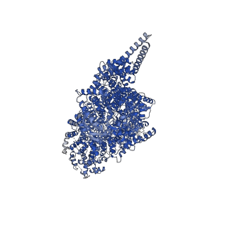 10232_6skz_A_v1-2
Structure of the closed conformation of CtTel1