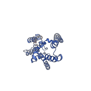 25169_7sk1_A_v1-1
TWIK1 in MSP1E3D1 Lipid Nanodisc at pH 5.5