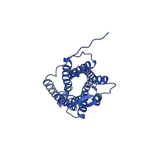 25171_7sk3_A_v1-0
Cryo-EM structure of ACKR3 in complex with CXCL12, an intracellular Fab, and an extracellular Fab