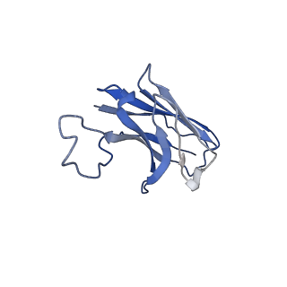 25171_7sk3_F_v1-0
Cryo-EM structure of ACKR3 in complex with CXCL12, an intracellular Fab, and an extracellular Fab