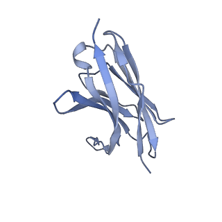 25172_7sk4_D_v1-0
Cryo-EM structure of ACKR3 in complex with chemokine N-terminal mutant CXCL12_LRHQ, an intracellular Fab, and an extracellular Fab