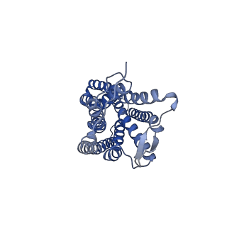 25173_7sk5_A_v1-0
Cryo-EM structure of ACKR3 in complex with CXCL12 and an intracellular Fab