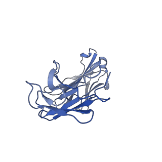 25173_7sk5_E_v1-0
Cryo-EM structure of ACKR3 in complex with CXCL12 and an intracellular Fab