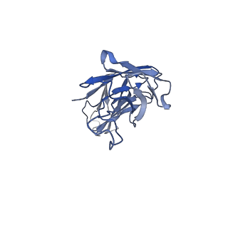 25173_7sk5_F_v1-0
Cryo-EM structure of ACKR3 in complex with CXCL12 and an intracellular Fab