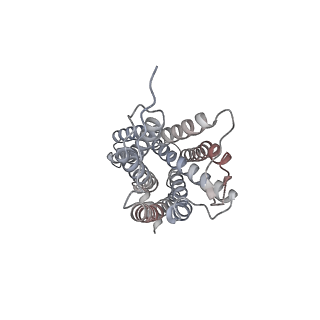 25174_7sk6_A_v1-0
Cryo-EM structure of human ACKR3 in complex with chemokine N-terminal mutant CXCL12_LRHQ and an intracellular Fab