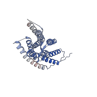 25175_7sk7_A_v1-0
Cryo-EM structure of human ACKR3 in complex with CXCL12, a small molecule partial agonist CCX662, and an extracellular Fab