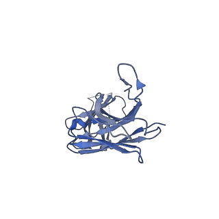 25175_7sk7_D_v1-0
Cryo-EM structure of human ACKR3 in complex with CXCL12, a small molecule partial agonist CCX662, and an extracellular Fab