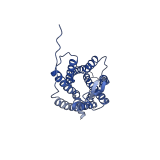 25176_7sk8_A_v1-0
Cryo-EM structure of human ACKR3 in complex with CXCL12, a small molecule partial agonist CCX662, an extracellular Fab, and an intracellular Fab