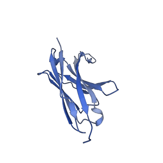25176_7sk8_D_v1-0
Cryo-EM structure of human ACKR3 in complex with CXCL12, a small molecule partial agonist CCX662, an extracellular Fab, and an intracellular Fab