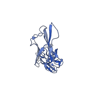 25177_7sk9_F_v1-0
Cryo-EM structure of human ACKR3 in complex with a small molecule partial agonist CCX662, and an intracellular Fab