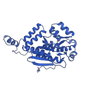 40556_8sk6_C_v1-0
human liver mitochondrial Delta(3,5)-Delta(2,4)-dienoyl-CoA isomerase