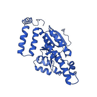 40556_8sk6_D_v1-0
human liver mitochondrial Delta(3,5)-Delta(2,4)-dienoyl-CoA isomerase