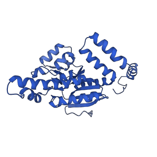 40556_8sk6_F_v1-0
human liver mitochondrial Delta(3,5)-Delta(2,4)-dienoyl-CoA isomerase