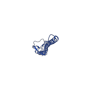 40557_8sk7_G_v1-3
Cryo-EM structure of designed Influenza HA binder, HA_20, bound to Influenza HA (Strain: Iowa43)