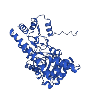 40565_8skr_A_v1-0
human liver mitochondrial Aspartate aminotransferase