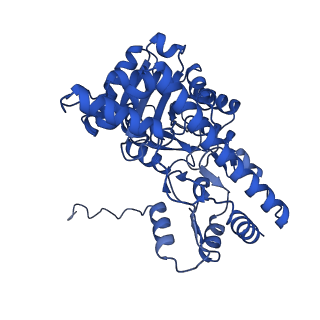 40565_8skr_C_v1-0
human liver mitochondrial Aspartate aminotransferase